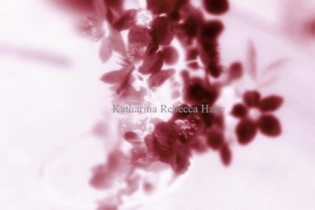Postkarte A6: Motiv "Cherry Blossom", Fotografie digital bearbeitet, 2012. Preis / 5er Paket: 13,-€